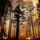 Illustration for article titled Entire Nation Pitches In To Save Yosemite